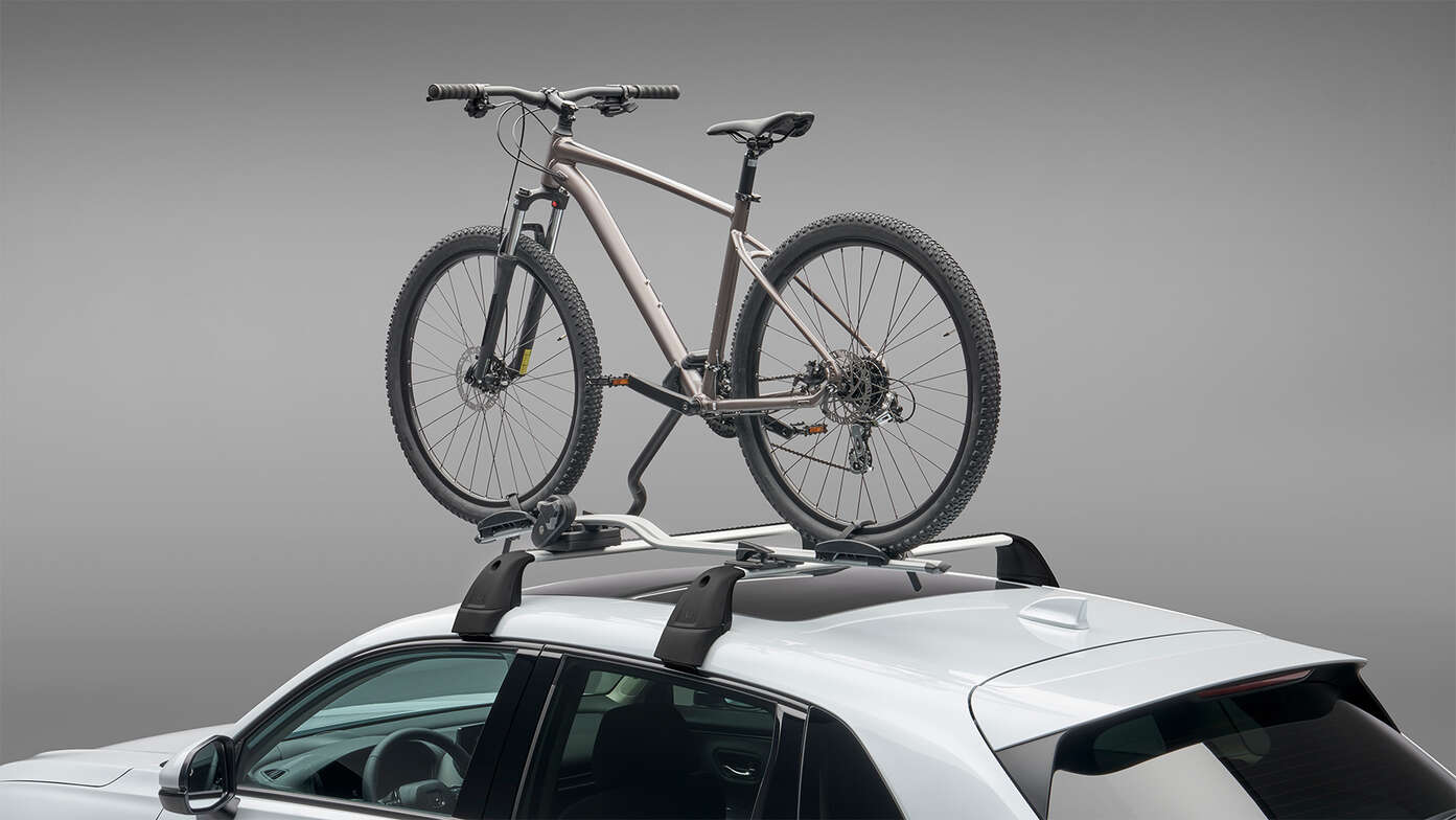 Gros sur le porte-vélos de toit Thule - Expert 298